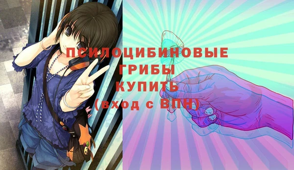 ALPHA PVP Арсеньев