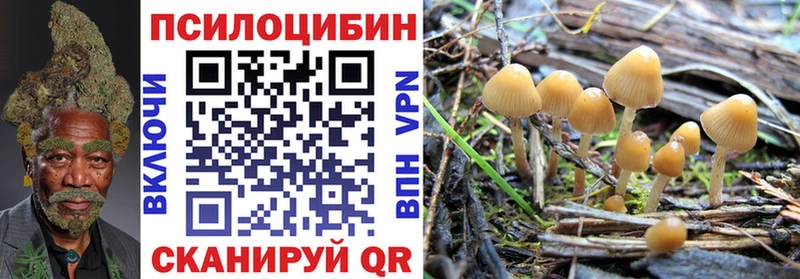 Псилоцибиновые грибы GOLDEN TEACHER Брянск