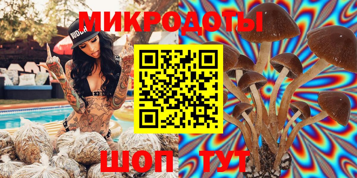 Брянск  Псилоцибиновые грибы MAGIC MUSHROOMS  Вход с VPN  Псилоцибиновые грибы Magic Shrooms 